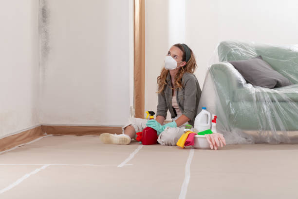 Reliable Mold Inspection contractor in Gladwyne, PA by WQB Mold Removal